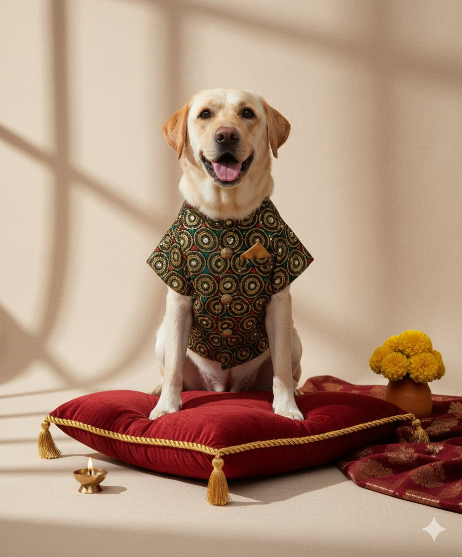 The Pataka Shimmer Jacket