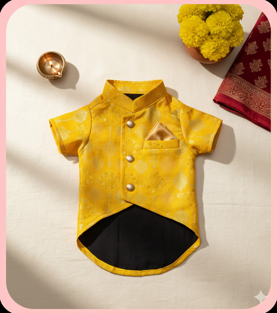 The Haldi Glow Jacket