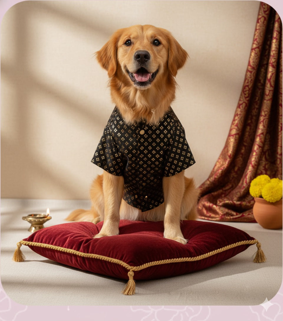 The Starry Night Jacket