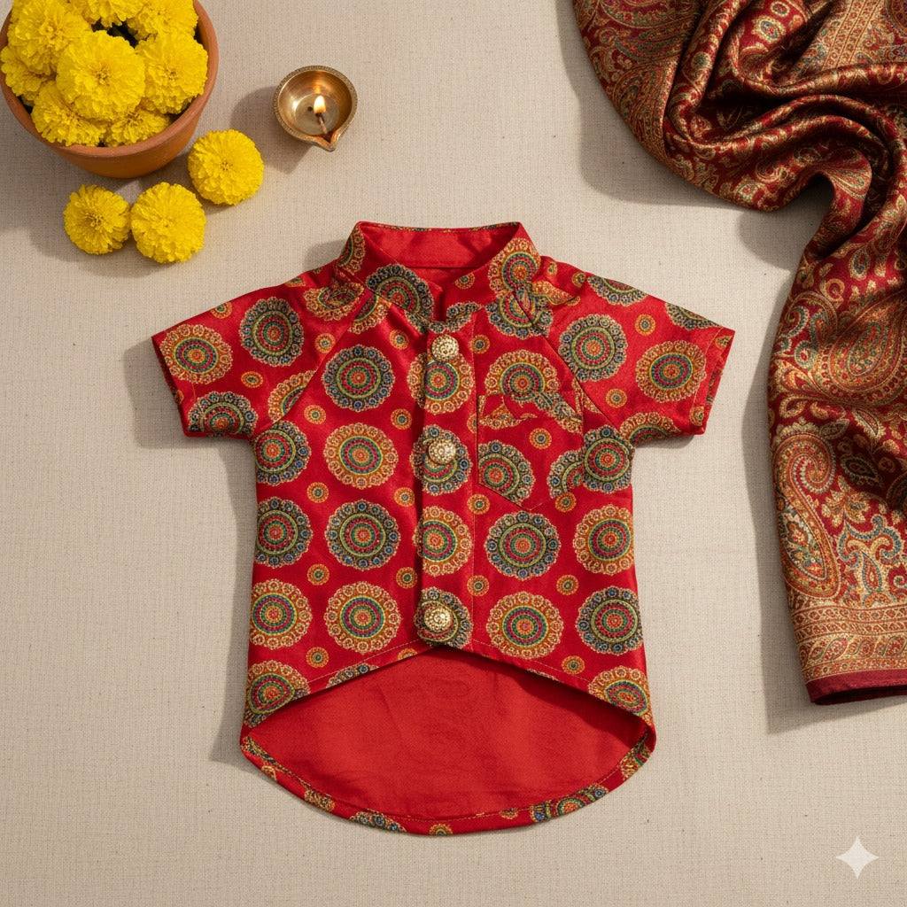 The Rangoli Radiance Jacket