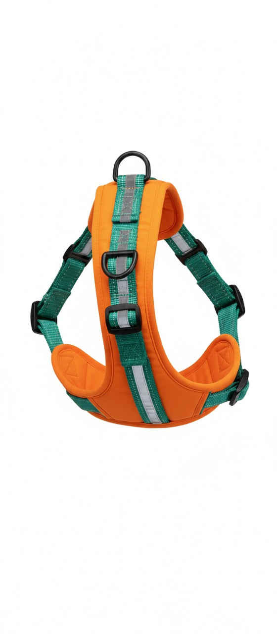 The All-Terrain Explorer Harness