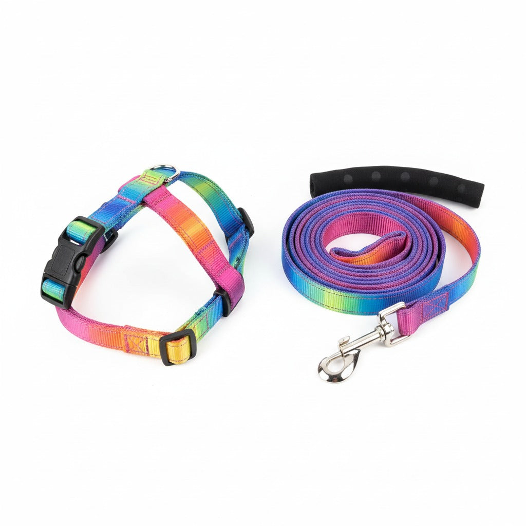 The Rainbow Joy Harness Set