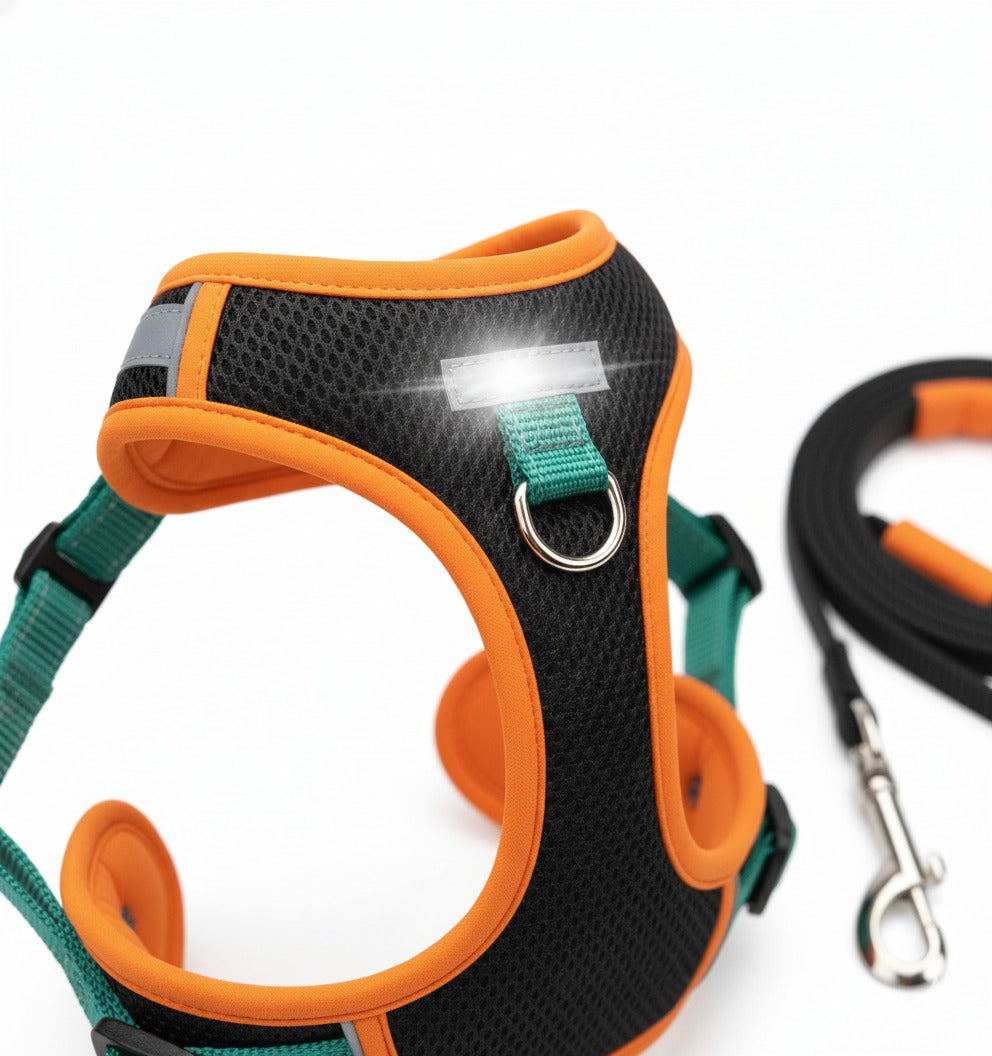 The Urban Comfort Harness Set